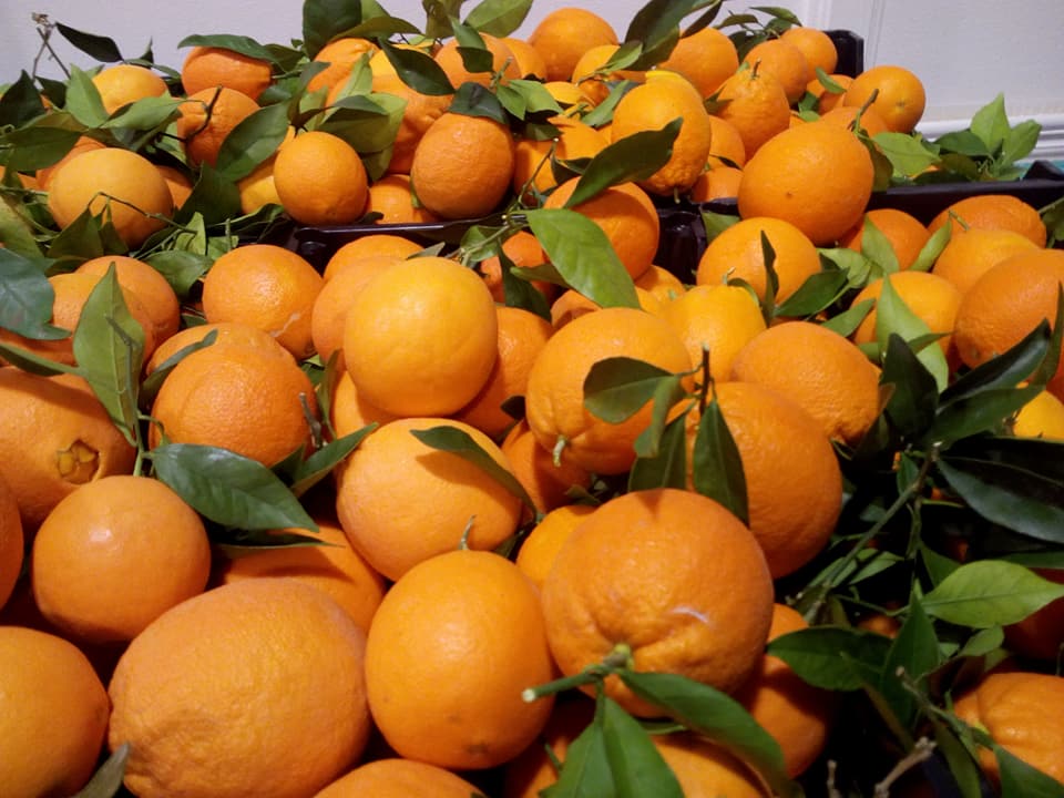 Orange