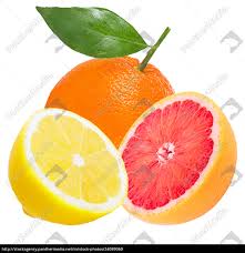 Orangen Baum