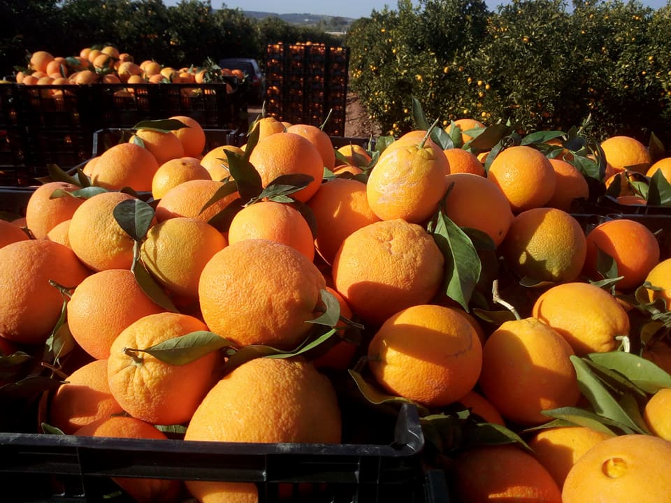 Naranja