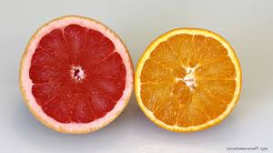 Orangen Baum